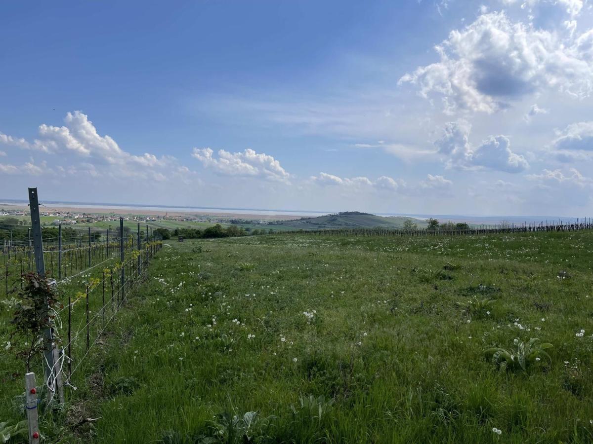 Schlafen In Der Winzerie Daire Jois Dış mekan fotoğraf